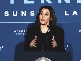 Elon Musk Defends Posting a Deepfake Video of Kamala Harris