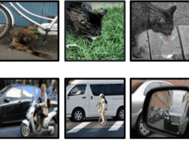 Google DeepMind Explores a New Frontier in Image Classification with Flexible Visual Memory