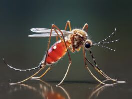 Say Goodbye to Mosquito Hide-and-Seek: How AI Tech is Winning the War Against Pests